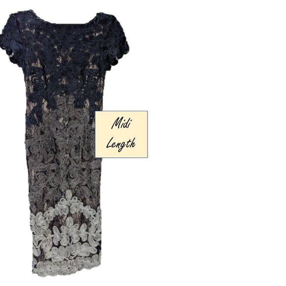 Designer JS Collections Lace Midi Evening Dress & Matching Earrings - Picture 12 of 14